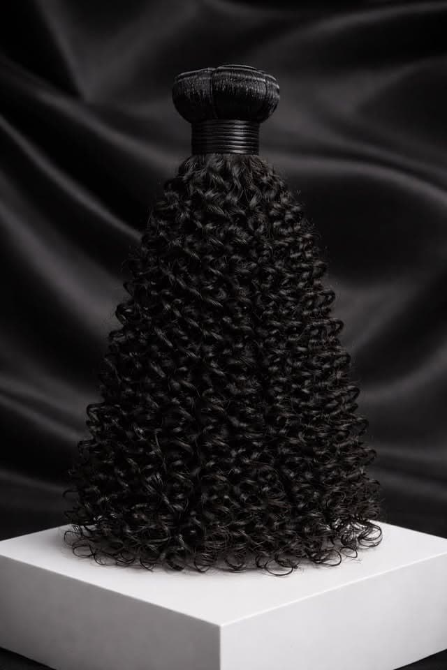 Raw Burmese Curly